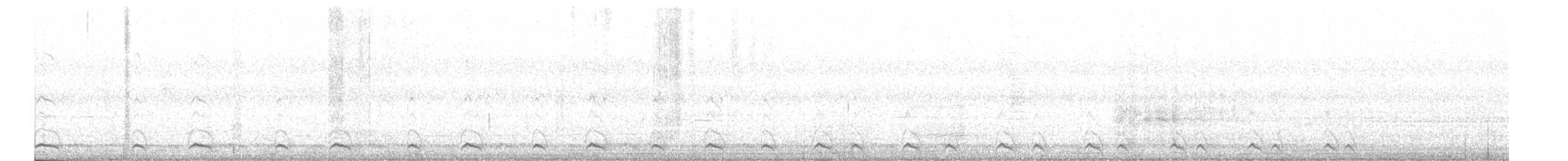 Chevêchette cuculoïde - ML190447921