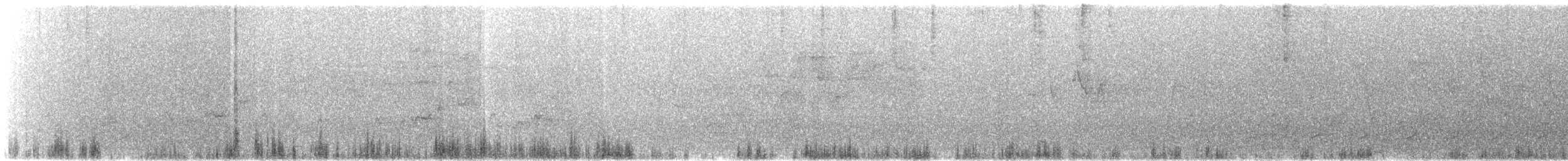 Warbling Vireo (Eastern) - ML190448581