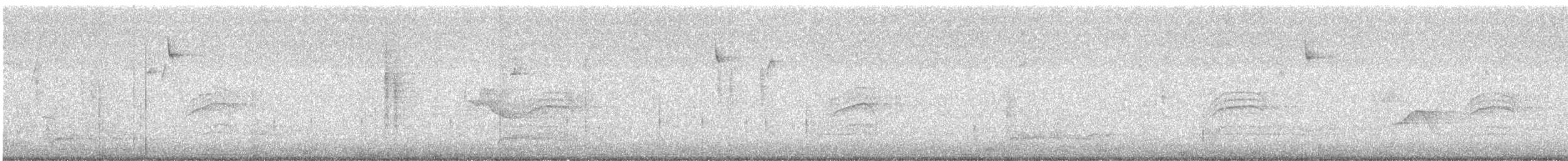 Дрізд-короткодзьоб плямистоволий - ML190530421