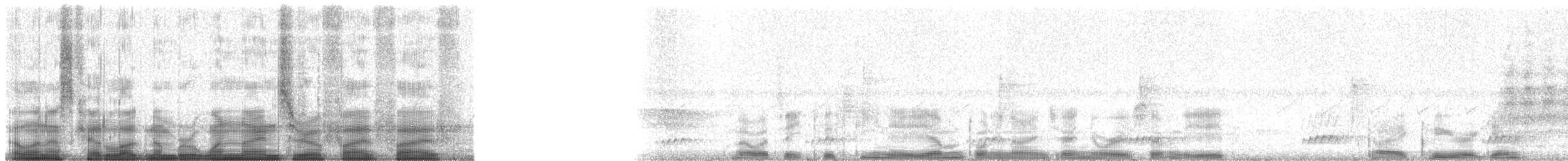 Kahverengi Kulaklı Papağan (chiripepe) - ML19055