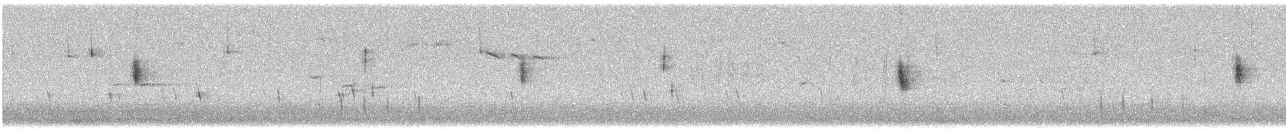 Вівсянка звичайна - ML190594931