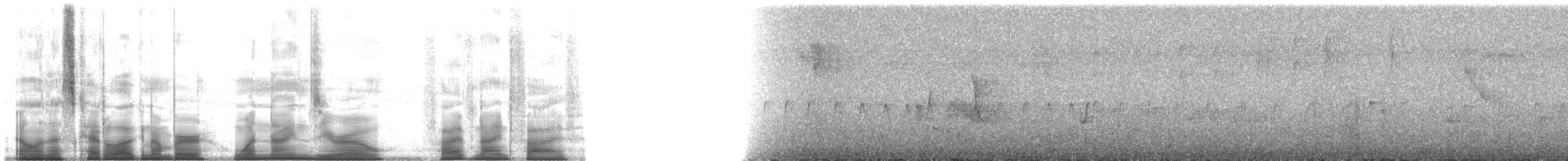Кокоа плямистий [група aequatorialis] - ML190595