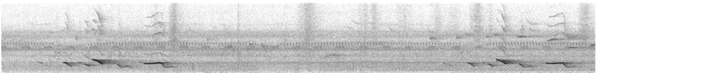 Schwarznackenpirol [frontalis-Gruppe] - ML190604991