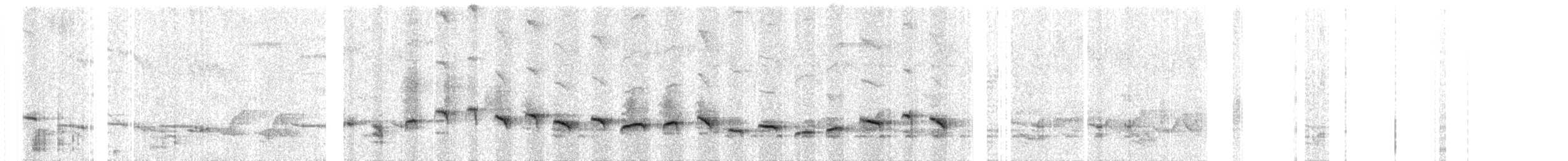 Streifenbrust-Erddrossling - ML190613461