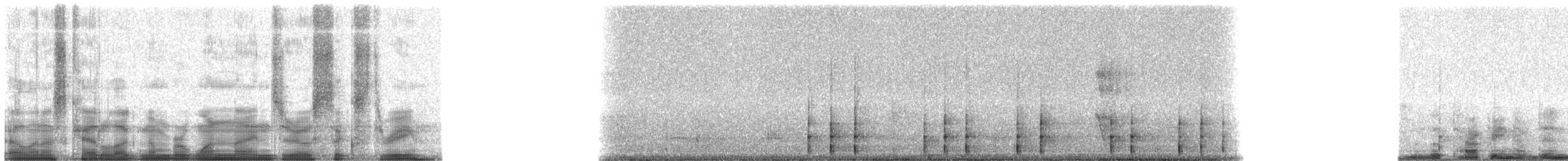 White-spotted Woodpecker - ML19063