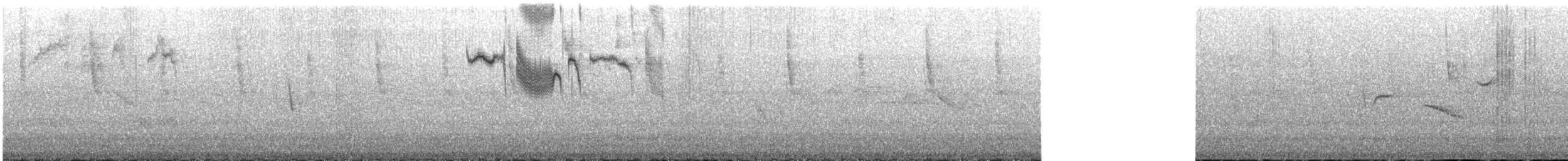 Colibri scintillant - ML190698721