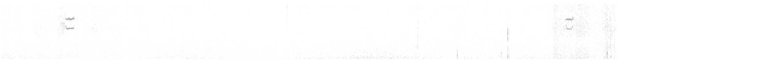 Chingolo de Nelson (subvirgatus) - ML190709721