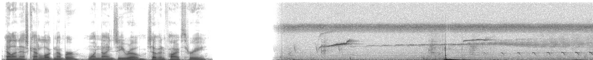 Kahverengi Amazon Sinekkapanı [fuscatus grubu] - ML190753