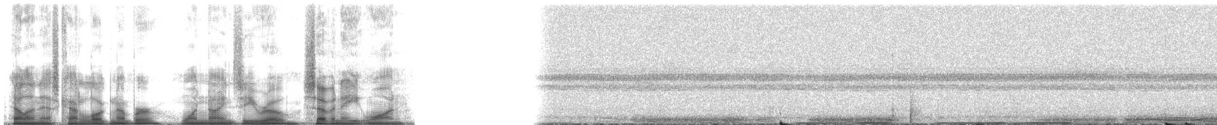 ハゲガオホウカンチョウ（fasciolata／grayi） - ML190781