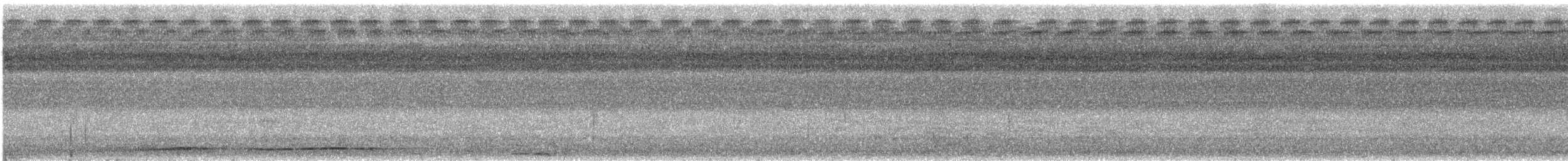 Pita Moluqueña Septentrional - ML190815331