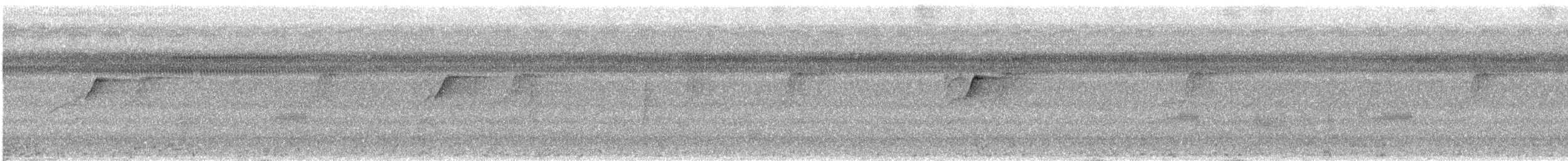 Seidennektarvogel - ML190815441