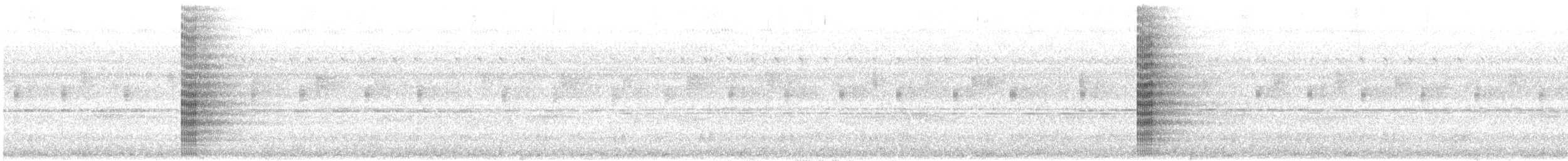 glansparadiskråke - ML190815661