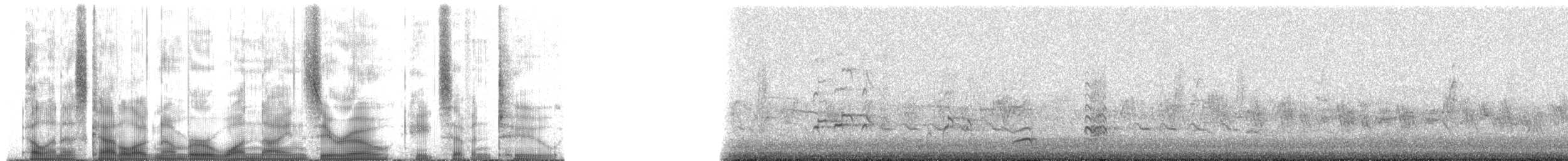 kalypta růžovohlavá - ML190872