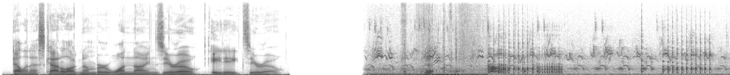 Double-crested Cormorant - ML190880