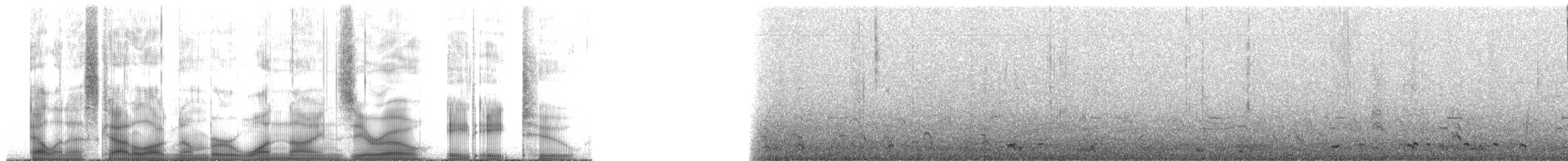 Brandt's Cormorant - ML190882