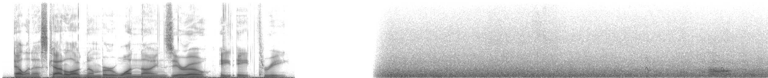 Brandt's Cormorant - ML190883