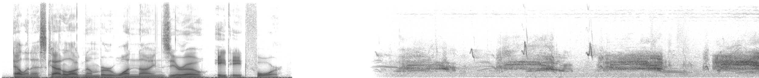 Braunpelikan (californicus) - ML190884