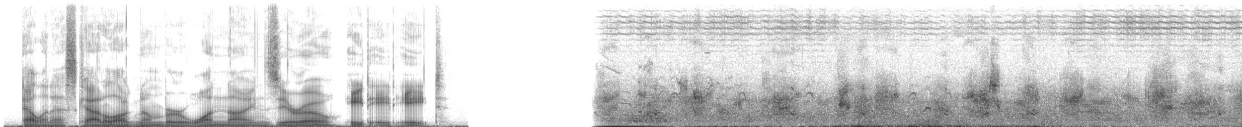 Double-crested Cormorant - ML190888