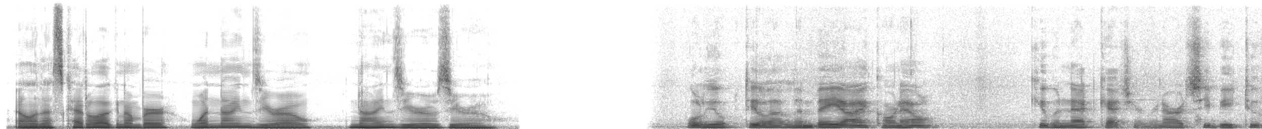 Cuban Gnatcatcher - ML190900