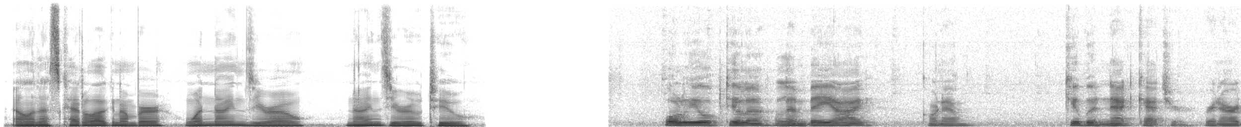 Cuban Gnatcatcher - ML190902