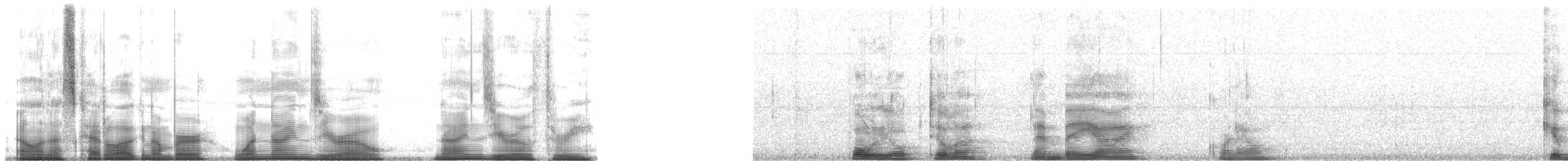 Cuban Gnatcatcher - ML190903