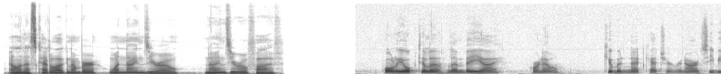 Cuban Gnatcatcher - ML190905