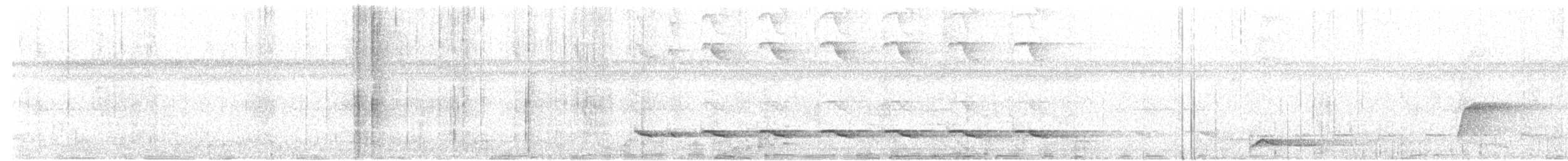 Weißschulter-Ameisenvogel - ML190915381