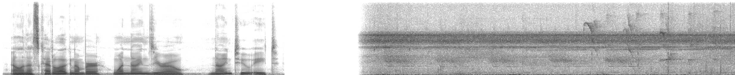 Orinoco Softtail - ML190928