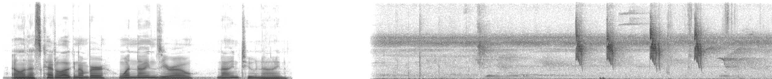 Orinoco Softtail - ML190929