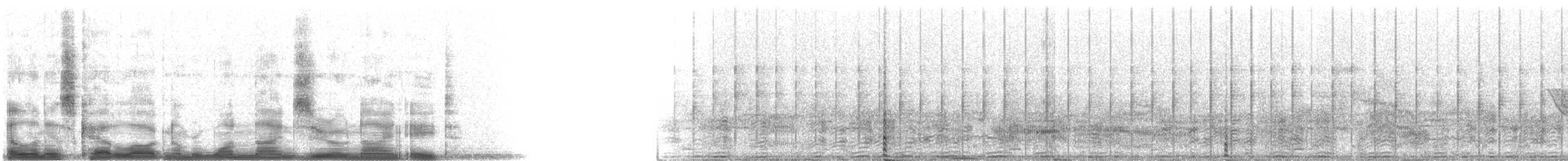 Wren-like Rushbird - ML19098