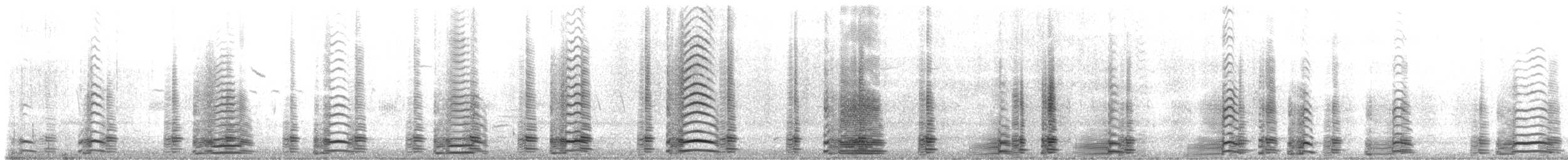 Barnacla Canadiense Grande - ML191029491