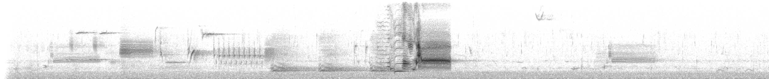 Al Kanatlı Karatavuk [phoeniceus grubu] - ML191029531