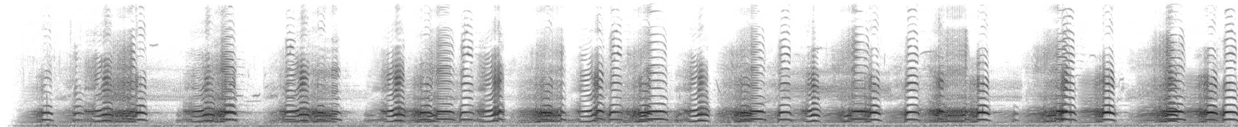 Barnacla Canadiense Grande - ML191029591