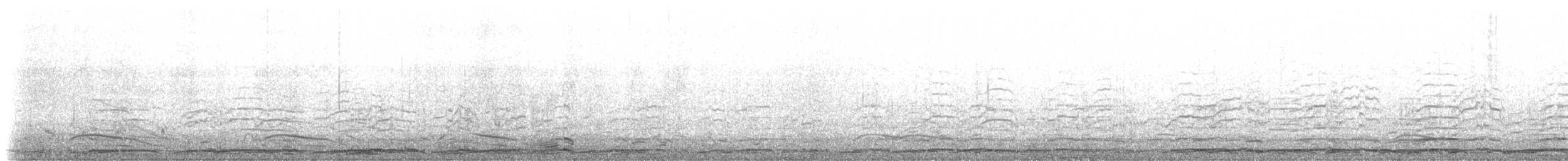 Tundra Swan (Whistling) - ML191033551