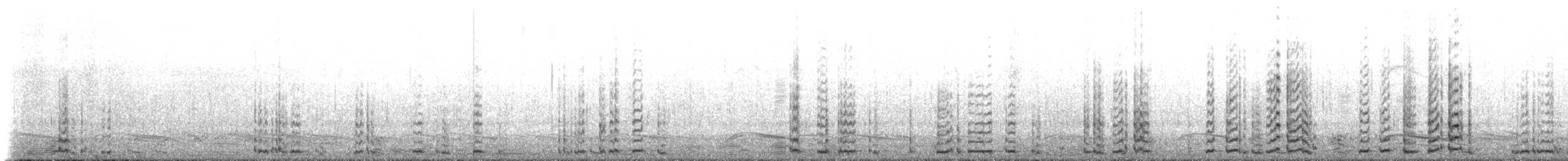 Zwergschwan (Pfeifschwan) - ML191033591
