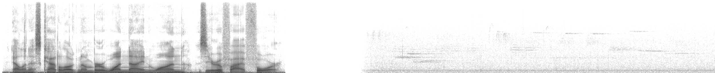Mourning Warbler - ML191054