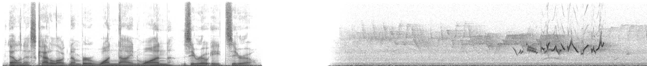 Чечевиця кармінова (підвид purpureus) - ML191080