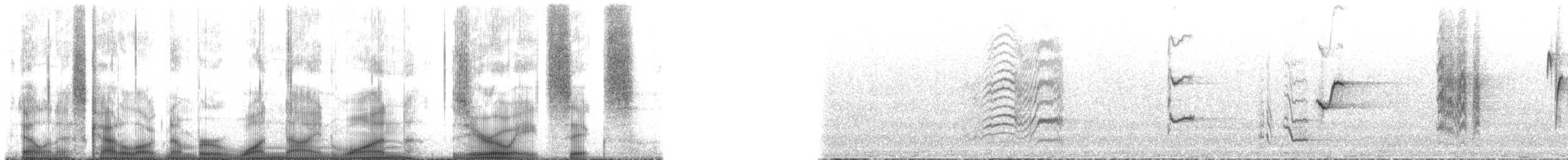 Пересмішник сірий - ML191086