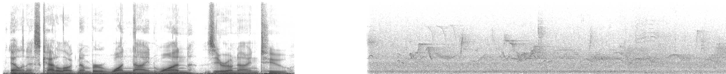 Common Yellowthroat - ML191092