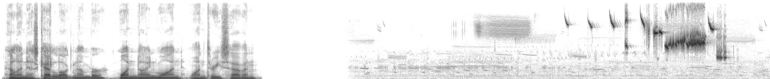 Savannah Serçesi - ML191137