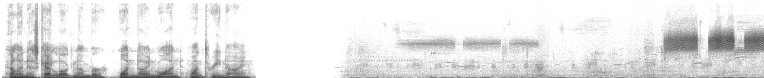 Карнатка бліда - ML191139