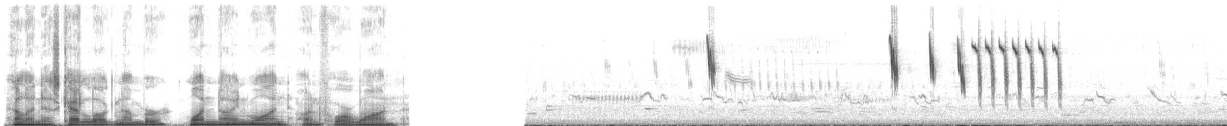 Sedge Wren - ML191141