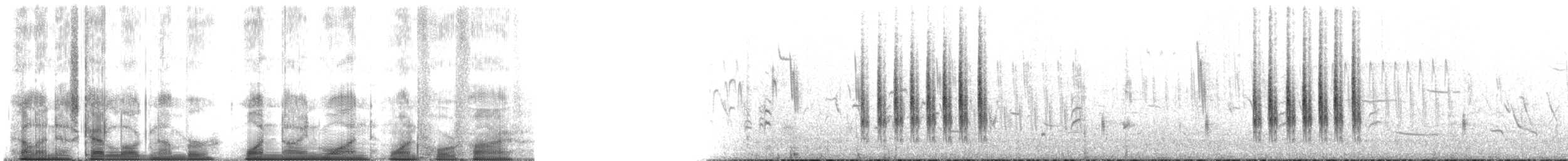 Sedge Wren - ML191145