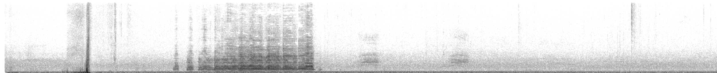 אווז אפור (מבוית) - ML191152461