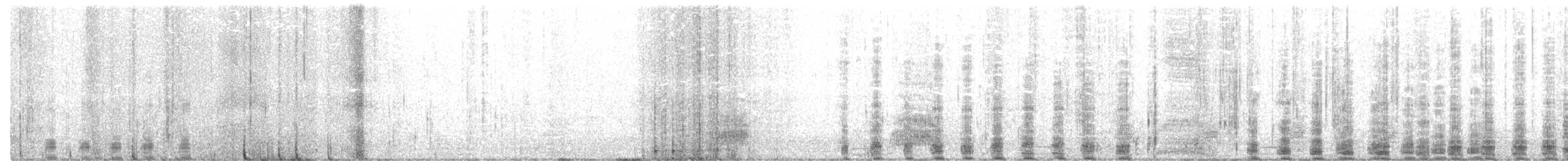 אווז אפור (מבוית) - ML191152491