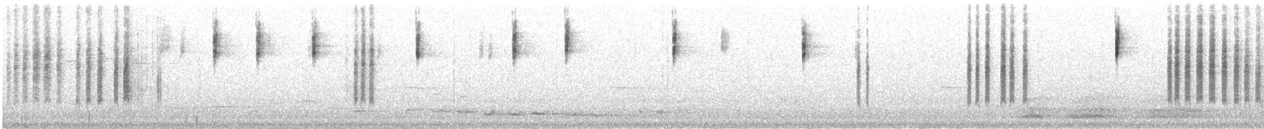 Tasmanian Scrubwren - ML191170961