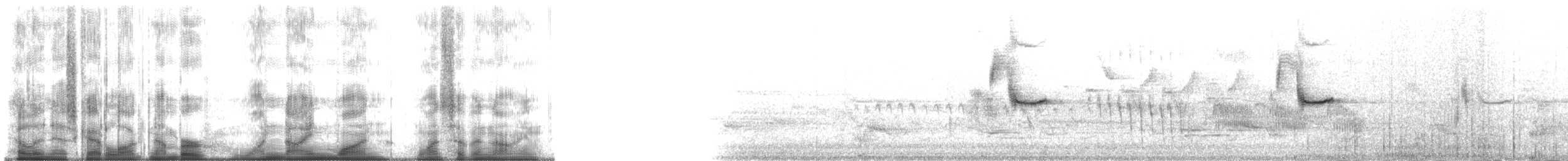 Sargento Alirrojo (grupo phoeniceus) - ML191179