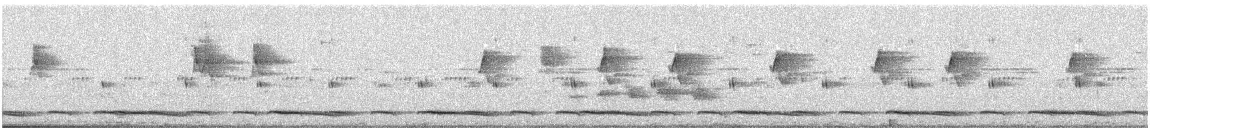 Bar-backed Partridge - ML191196291