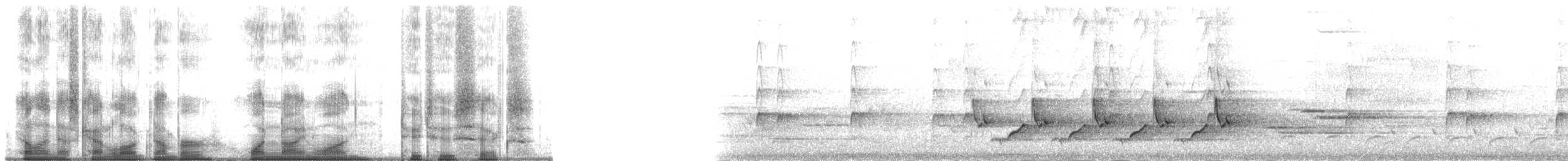 チャバラマユミソサザイ - ML191226