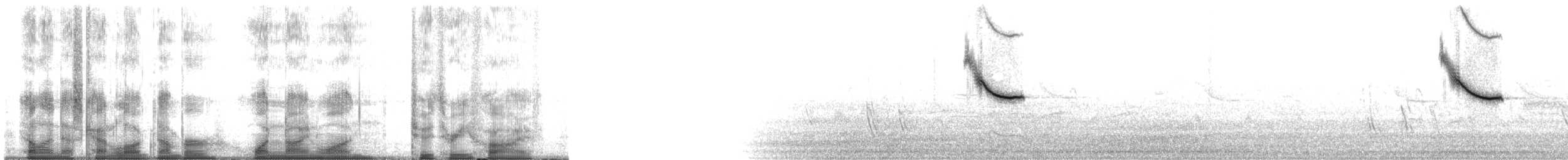Sargento Alirrojo (grupo phoeniceus) - ML191235